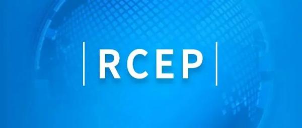 RCEP知识产权；び敕缦辗辣